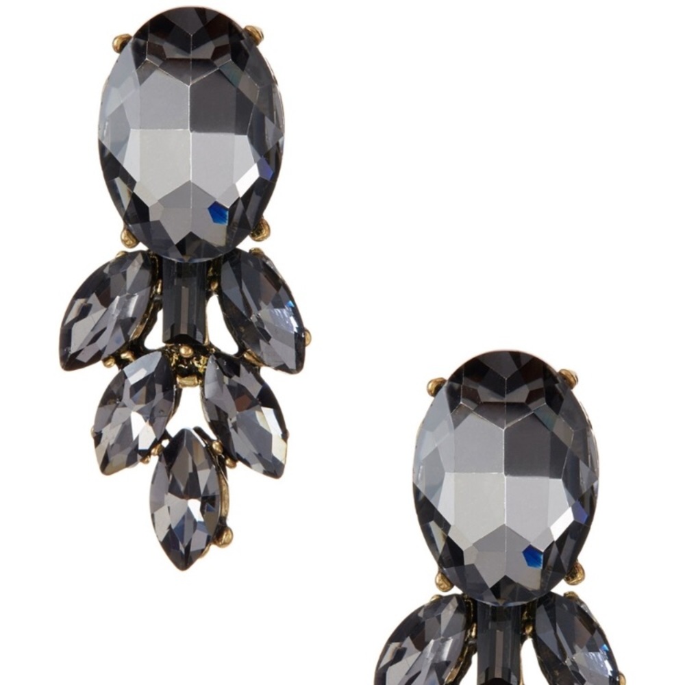 NWT drop earrings